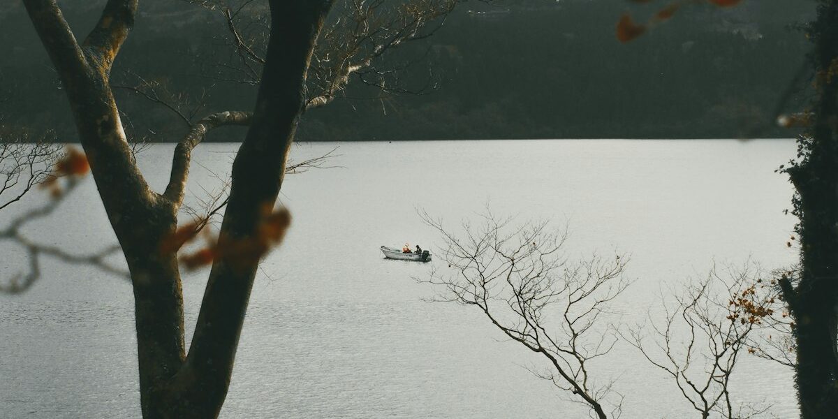 Master Seasonal Fishing: Tips for Year-Round Success