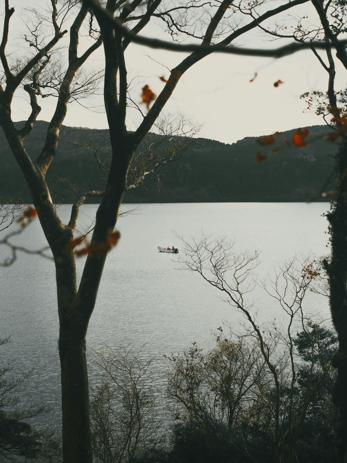 Lake fishing with structure