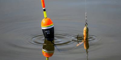 Why Your Bobber Never Goes Down When Fishing