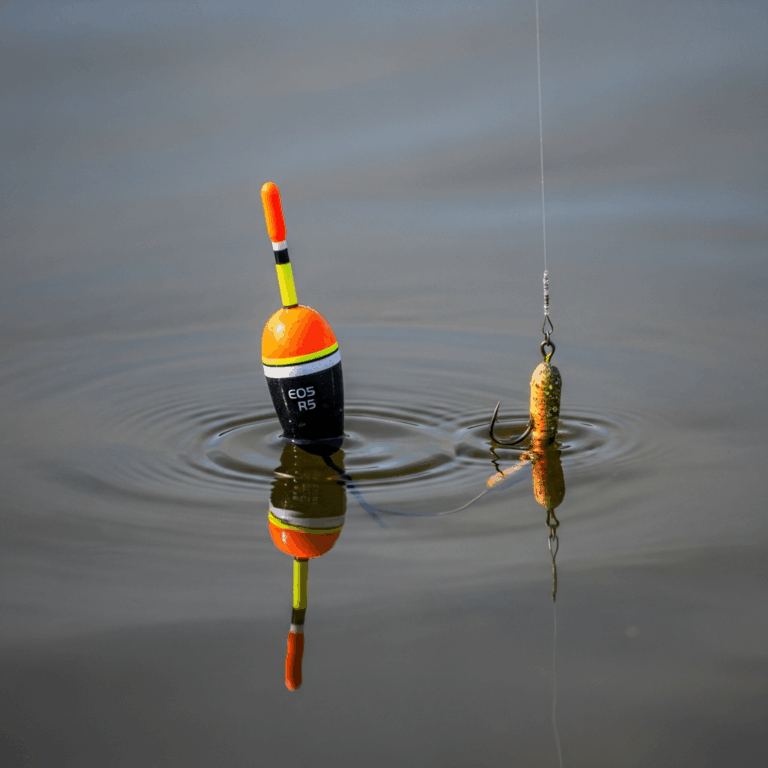 Why Your Bobber Never Goes Down When Fishing