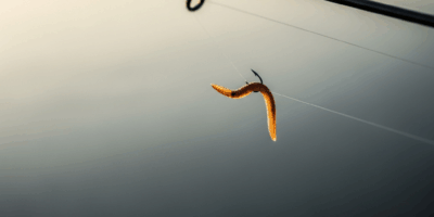 Why Your Worm Keeps Flying Off the Hook Mid-Cast