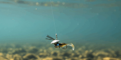 How to Fish a Ned Rig for Bass That Wont Bite