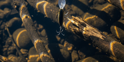 Why Your Bass Lure Keeps Snagging on Everything