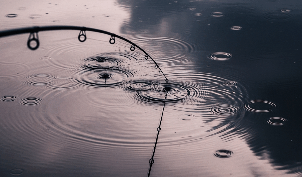 Fishing in the Rain Does It Actually Help or Hurt