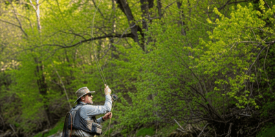 angler fly fishing in spring river with green trees